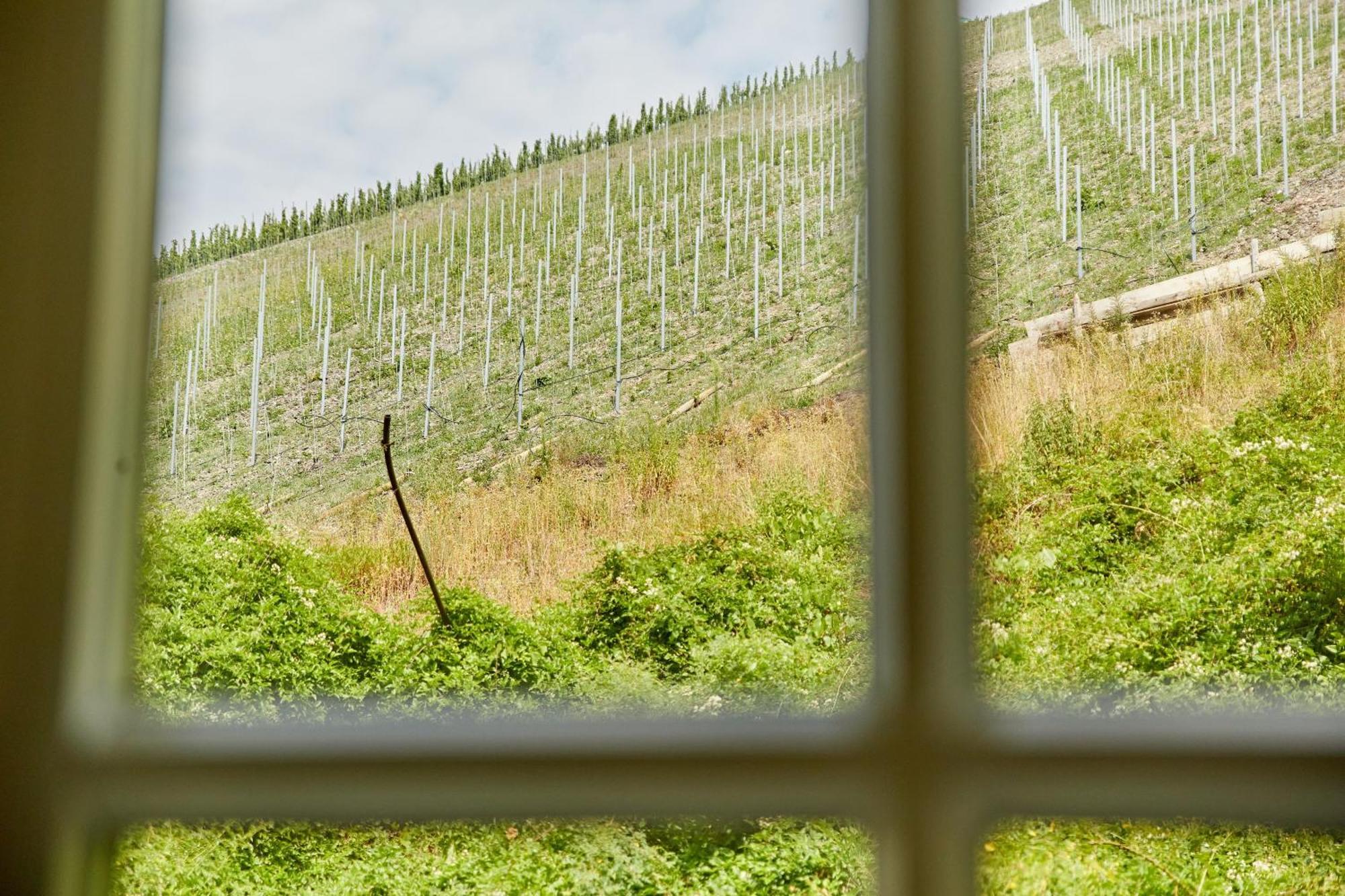 Ferienhaus Alte Muehle Verbandsgemeinde Verbandsgemeinde Bernkastel-Kues Buitenkant foto